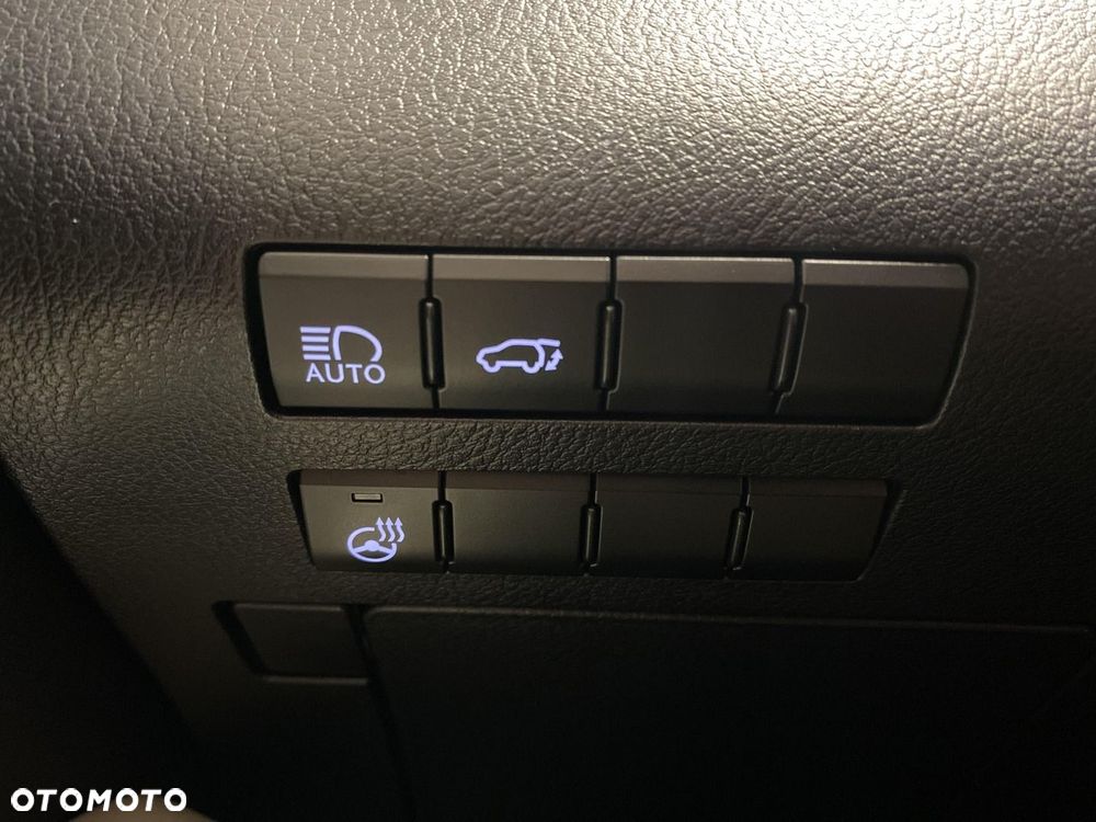 Lexus RX 450h F-Impression - 18