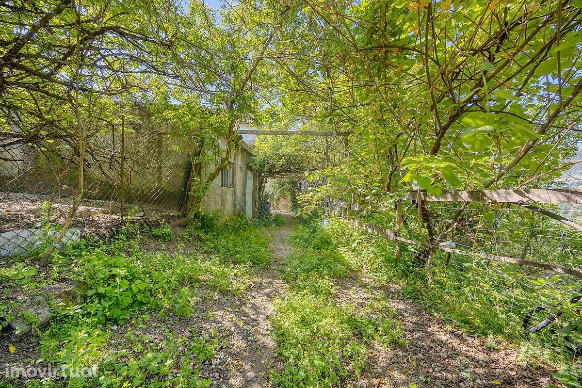 Quinta T2 para venda - Grande imagem: 2/34