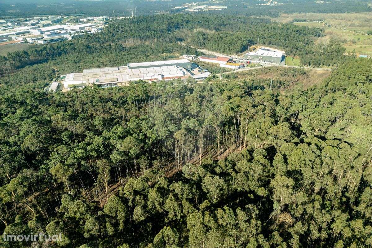 Terreno  para venda - Grande imagem: 3/11