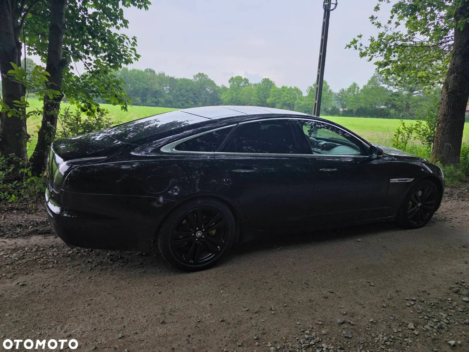 Jaguar XJ 3.0 D V6 LWB Premium Luxury - 3