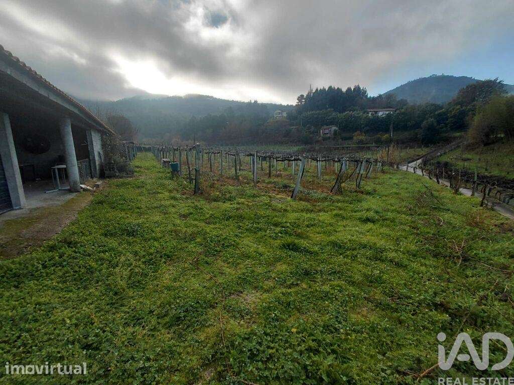 Terreno em Messegães, Valadares e Sá - Grande imagem: 2/6