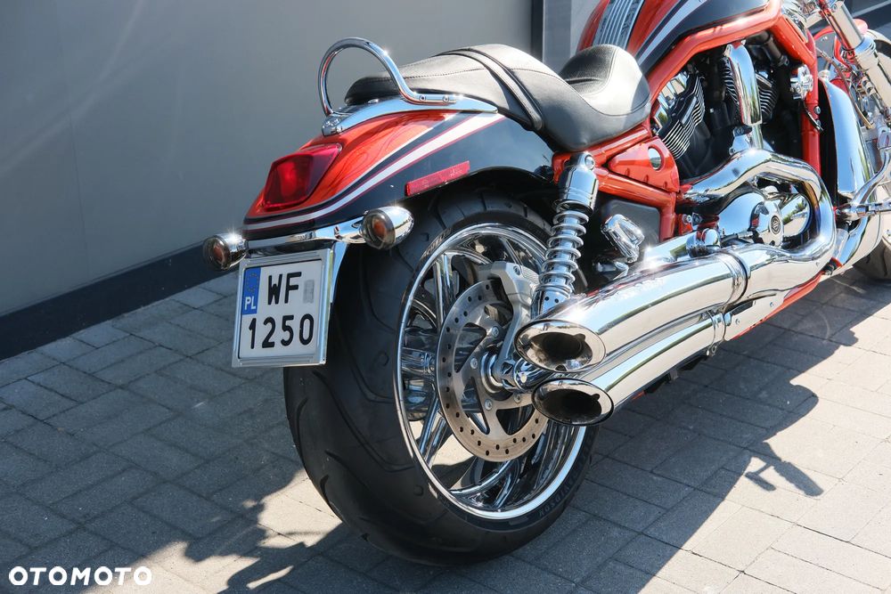 Harley-Davidson Softail V-Rod - 8