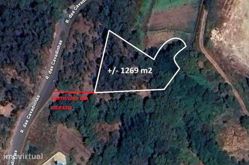 Vende-se 2 TERRENOS RÚSTICOS - Lourizela , Sever do Vouga - Grande imagem: 2/2