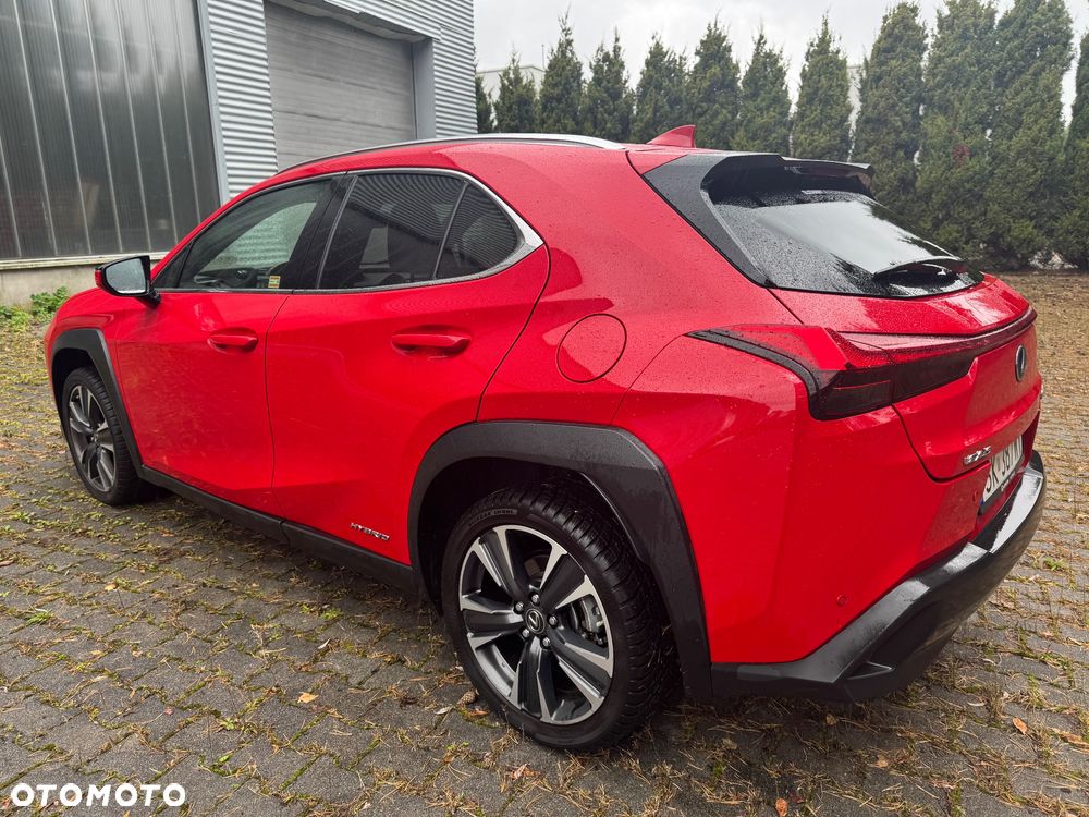 Lexus UX 250h GPF Business Edition 2WD - 20
