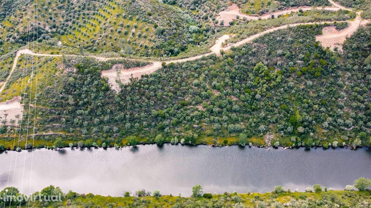 Terreno Rústico  Venda em Sarzedas,Castelo Branco - Grande imagem: 3/12