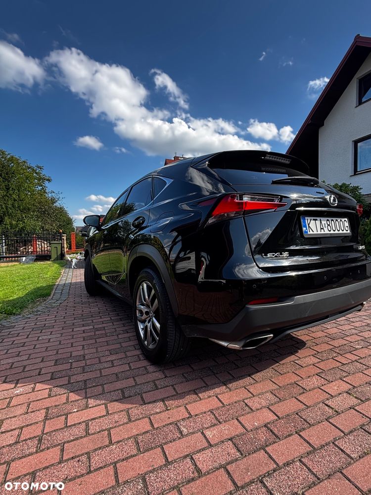Lexus NX - 19