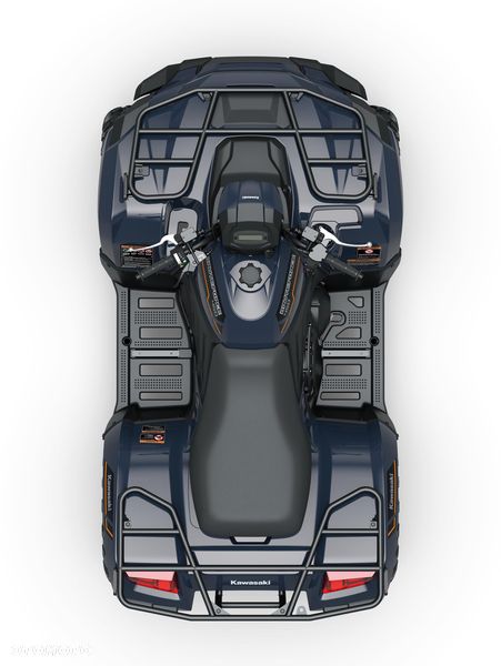 Kawasaki Brute Force - 5