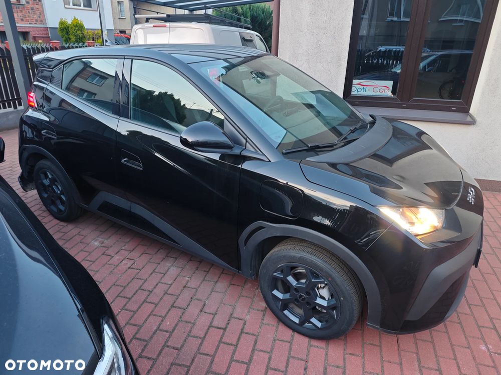 BYD Dolphin Surf 43.2kWh Boost - 23