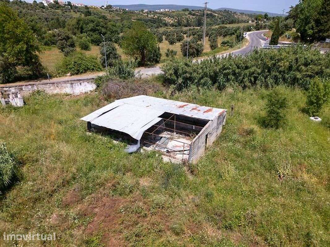 Quintinha à Entrada de Torres Novas – Localização Privilegiada - Grande imagem: 2/7
