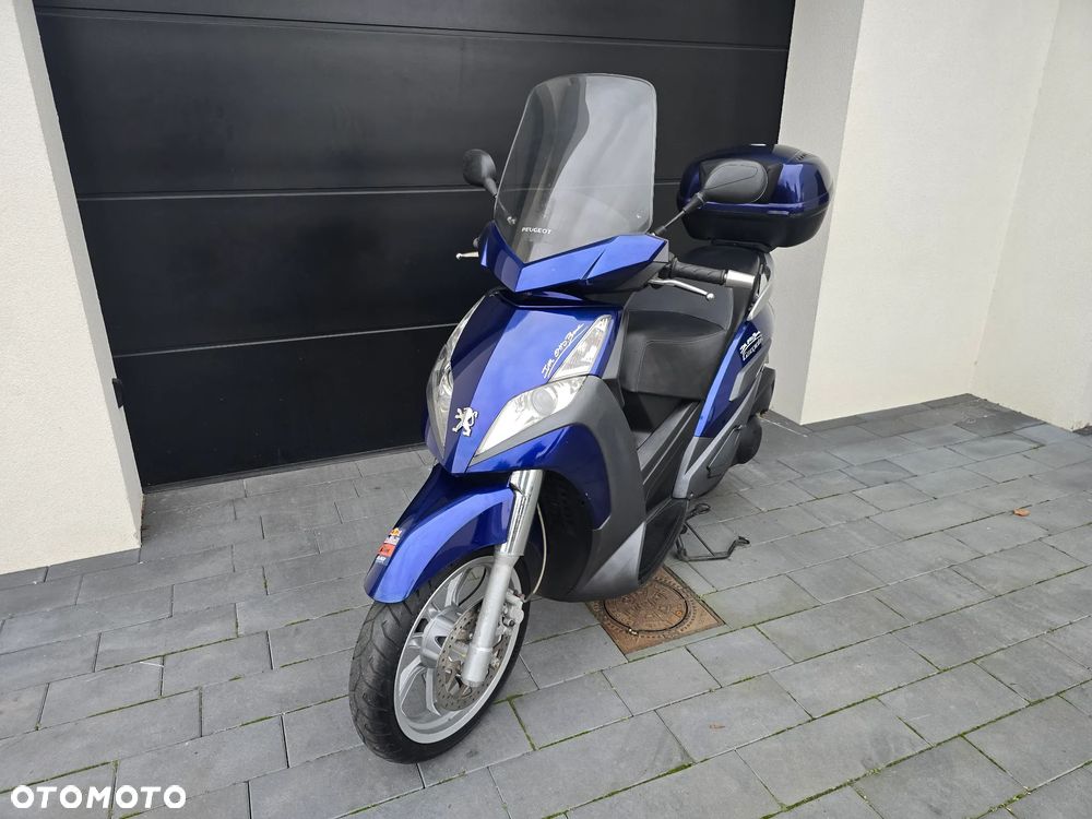 Peugeot Satelis - 13