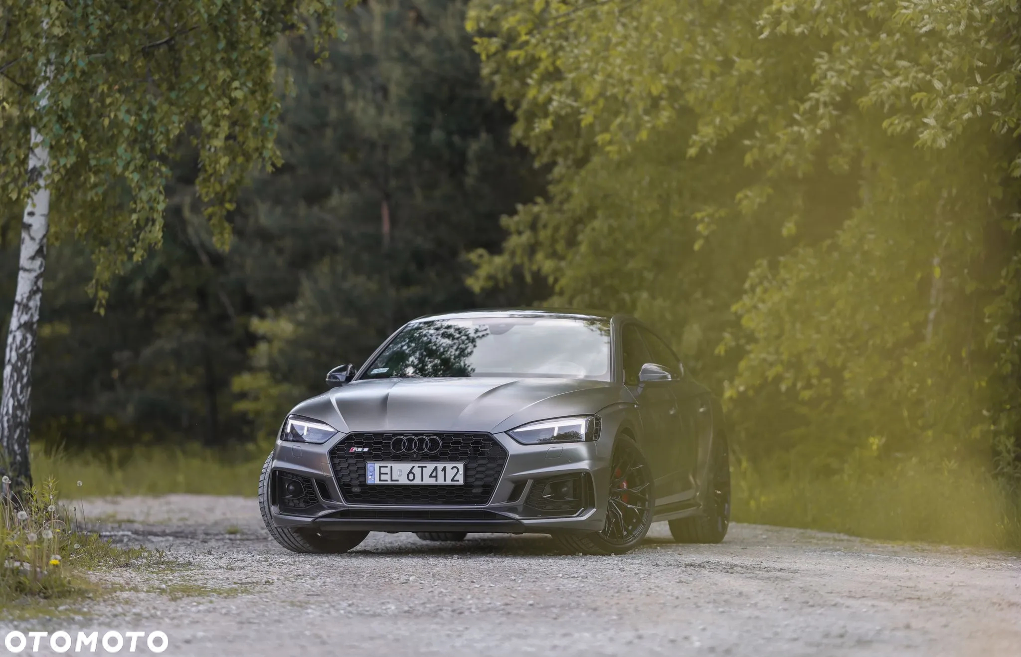 Audi RS5 2.9 TFSI Quattro Tiptronic - 10
