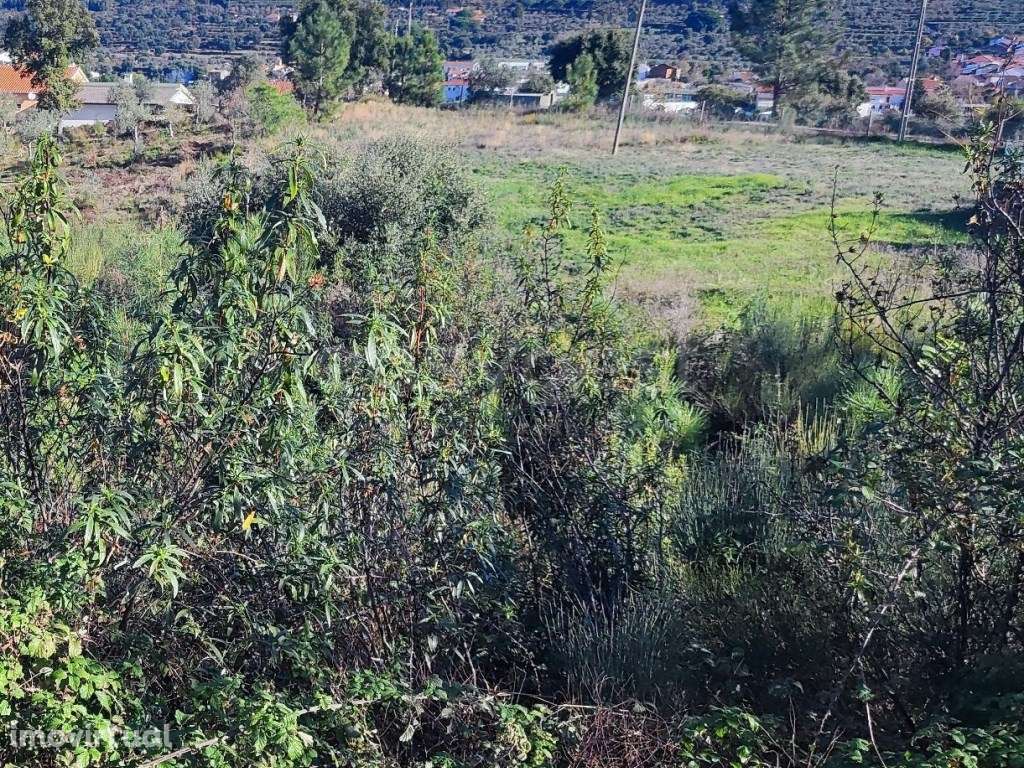Terreno urbano, localizado na vila de São Vicente da beira que poss... - Grande imagem: 5/12