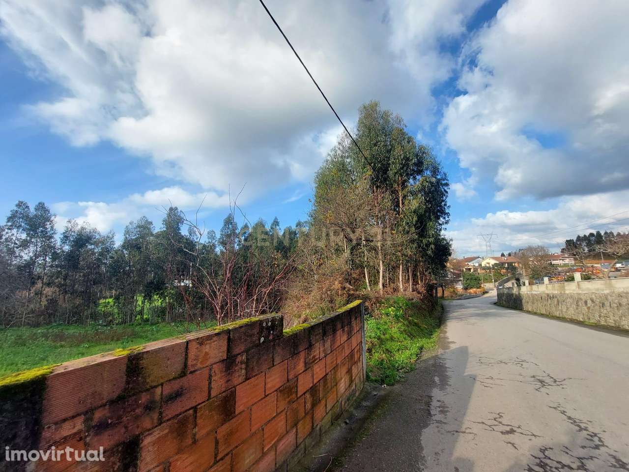 Terreno Urbanizável em Cristelo - Branca (Albergaria-a-Velha) - Grande imagem: 3/12