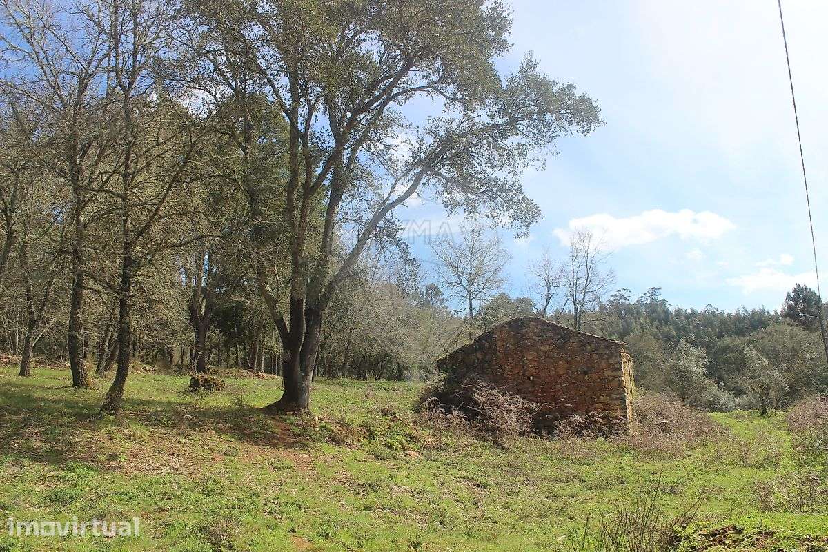 Terreno  para venda - Grande imagem: 3/13