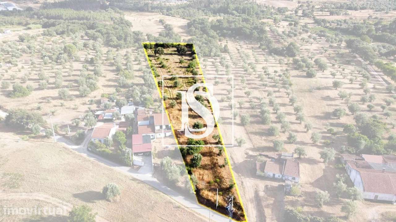 Terreno  Venda em Paialvo,Tomar - Grande imagem: 2/5