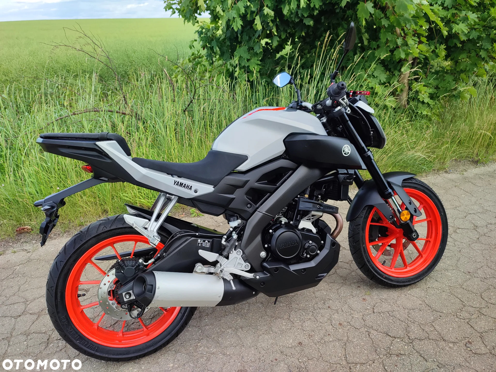 Yamaha MT - 39