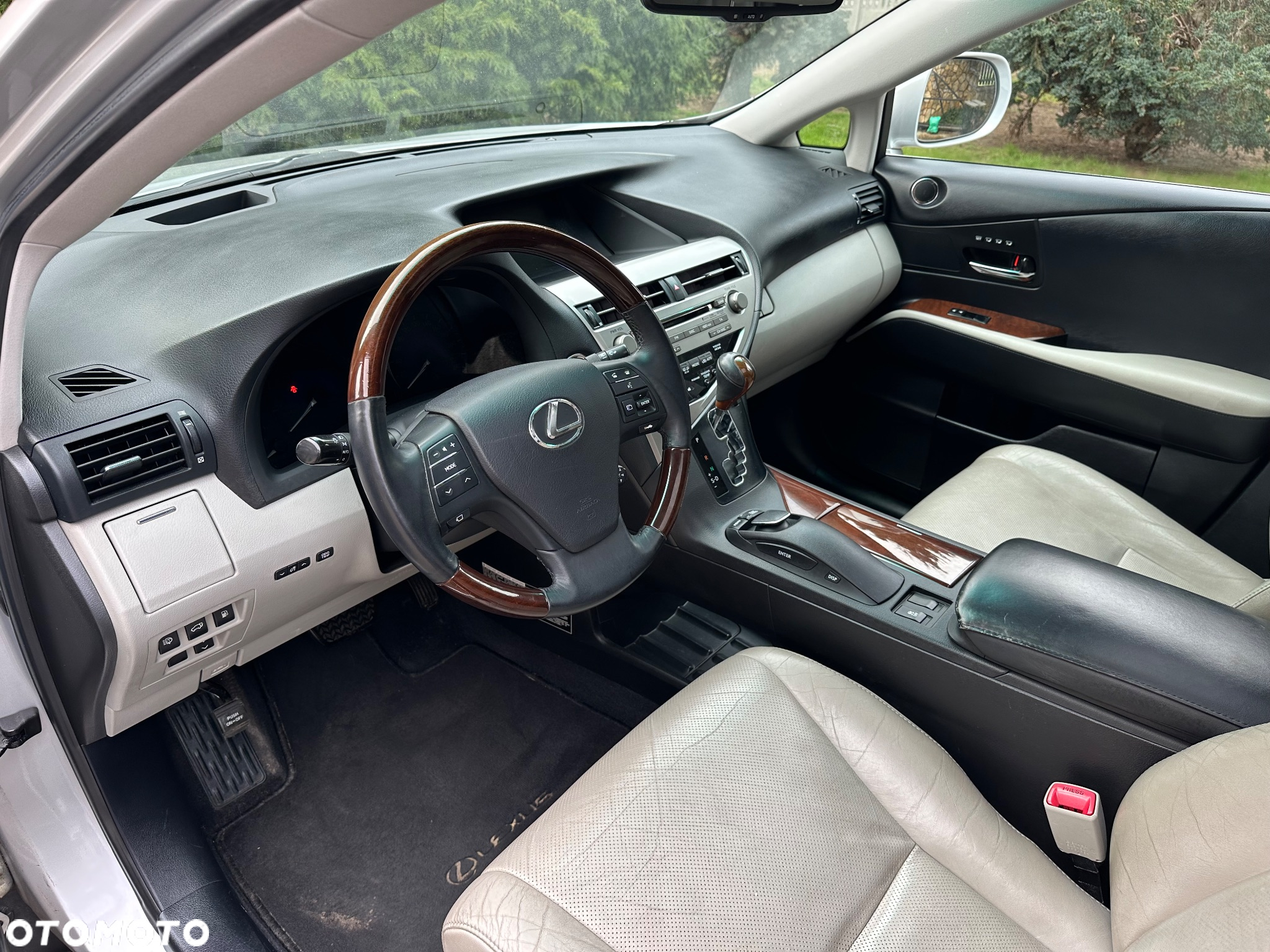 Lexus RX 450h (hybrid) Luxury Line - 19