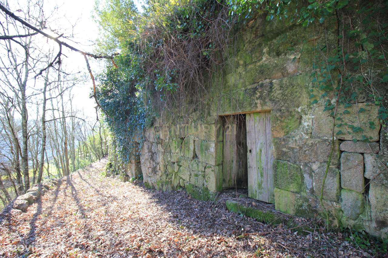 Quinta para restauro com vistas Rio Tâmega - Grande imagem: 4/28