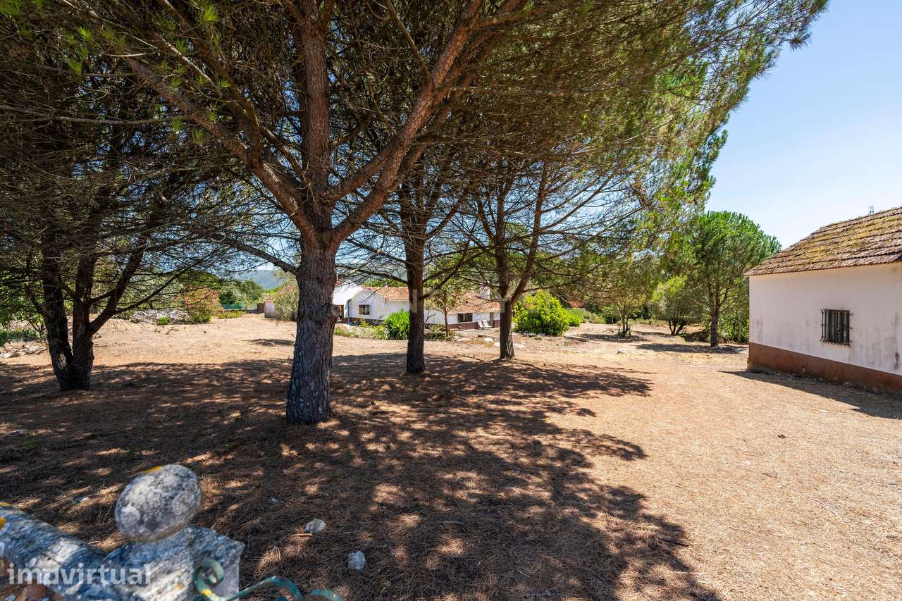 MORADIA/QUINTA EM ALCOBAÇA, LAGOA DO CÃO - Grande imagem: 2/47