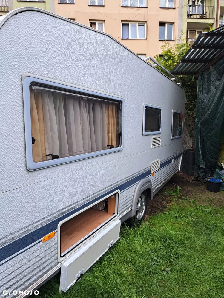 Wilk SPORT 490 - 32