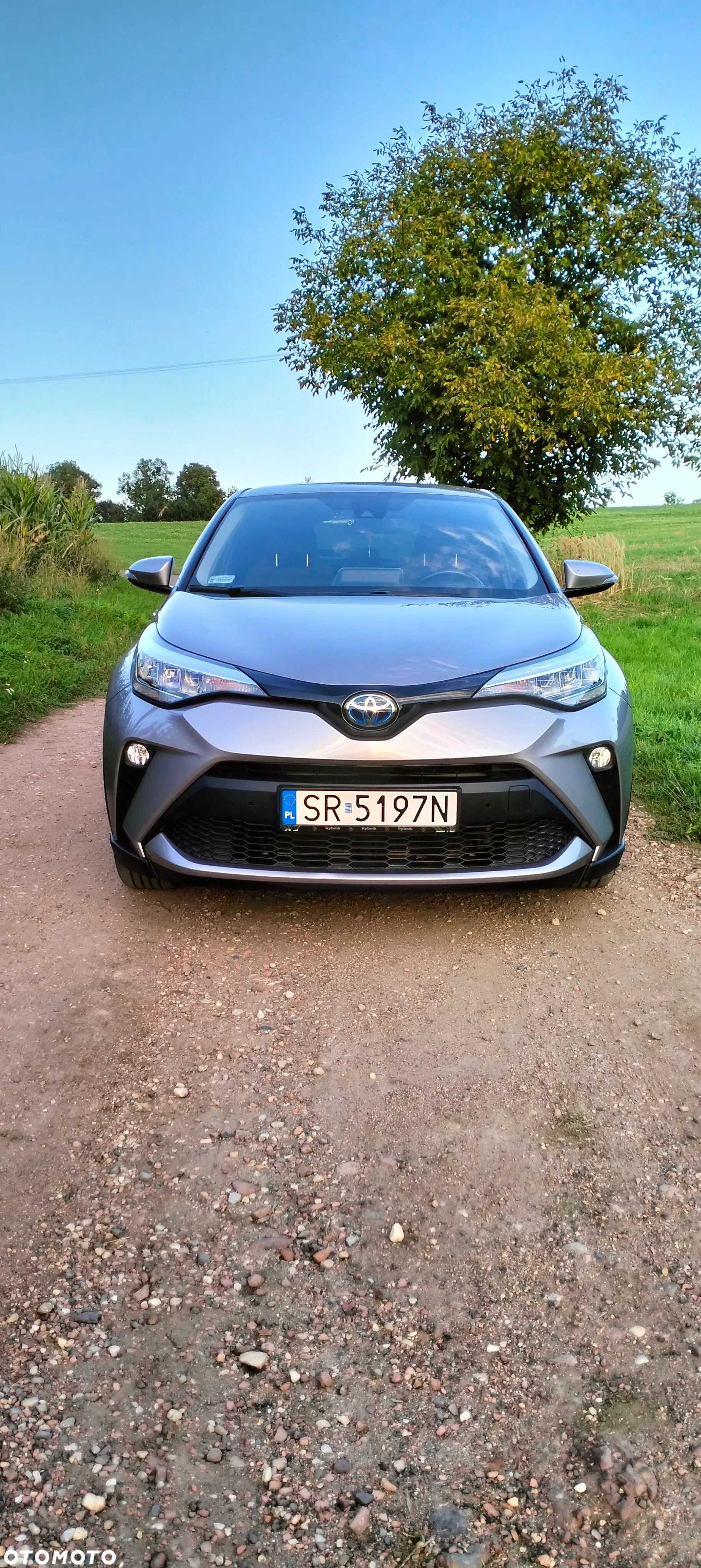 Toyota C-HR 1.8 Hybrid Comfort - 5
