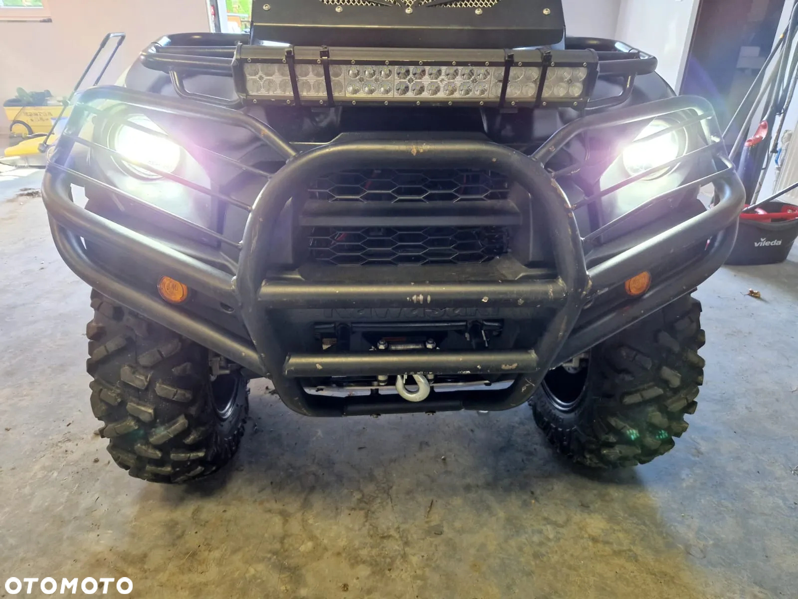 Kawasaki Brute Force