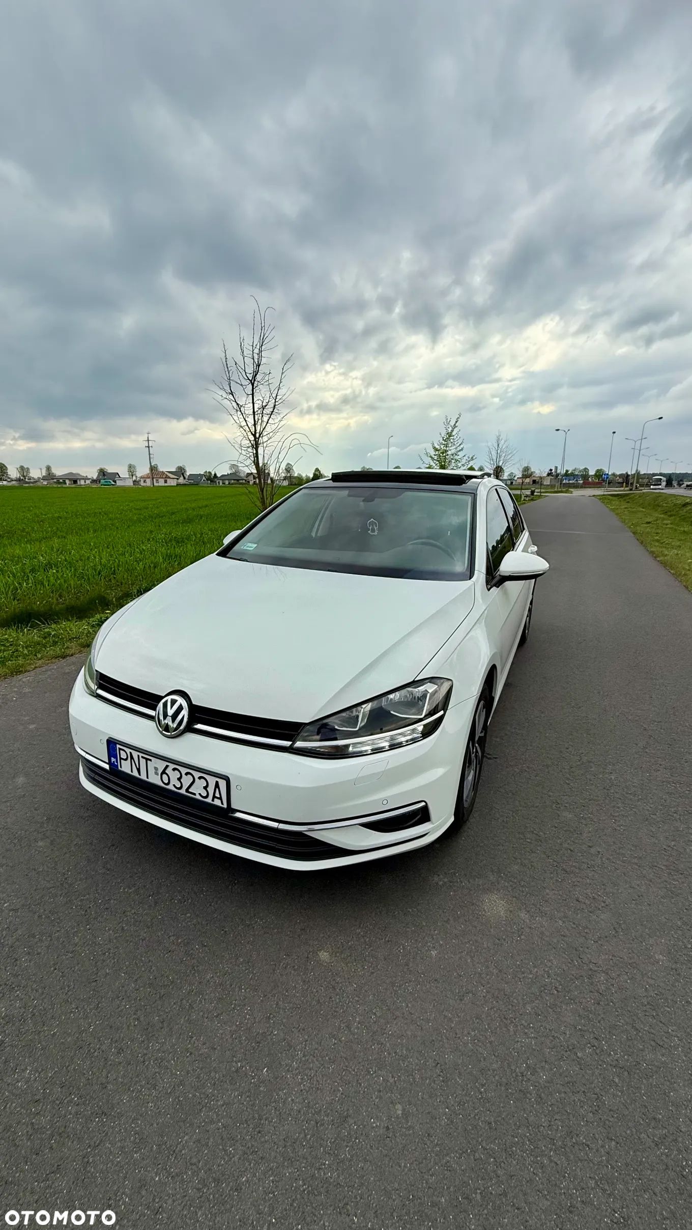Volkswagen Golf - 1