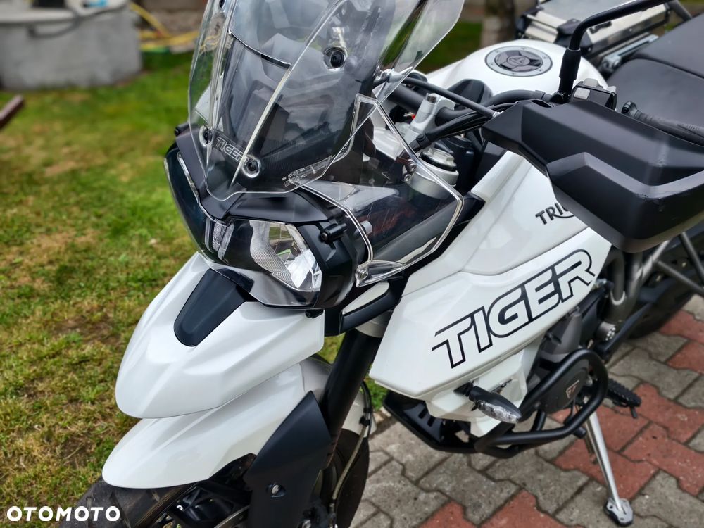 Triumph Tiger - 26