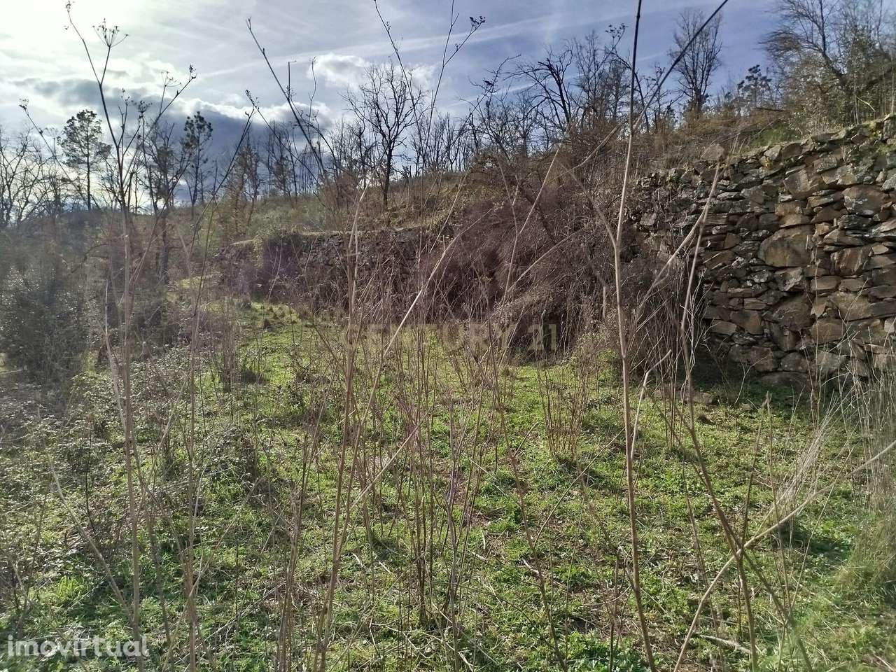 Linda Quinta com tesouro da Era Romana - Grande imagem: 4/17