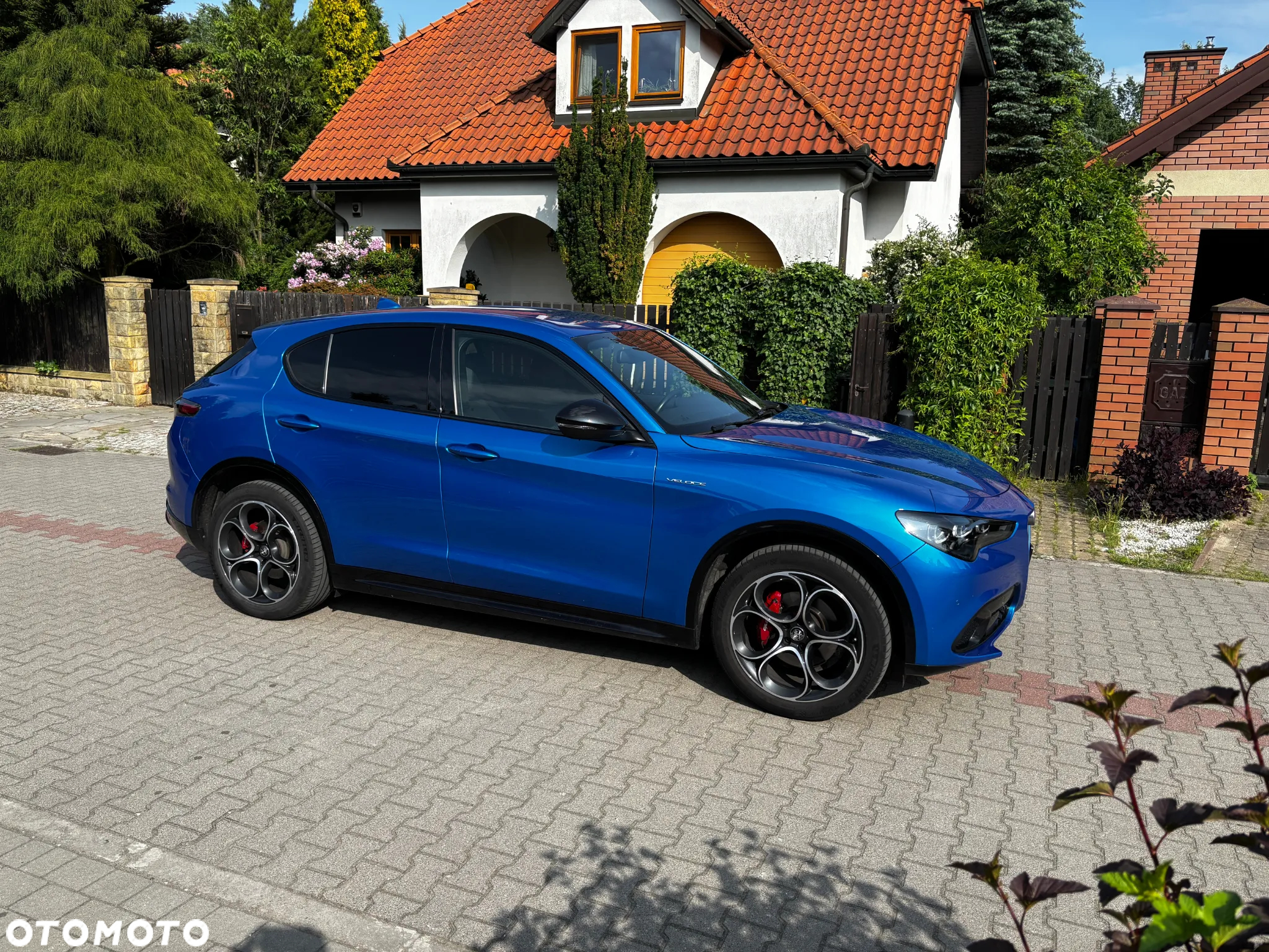 Alfa Romeo Stelvio 2.0 Turbo Veloce Q4 - 3