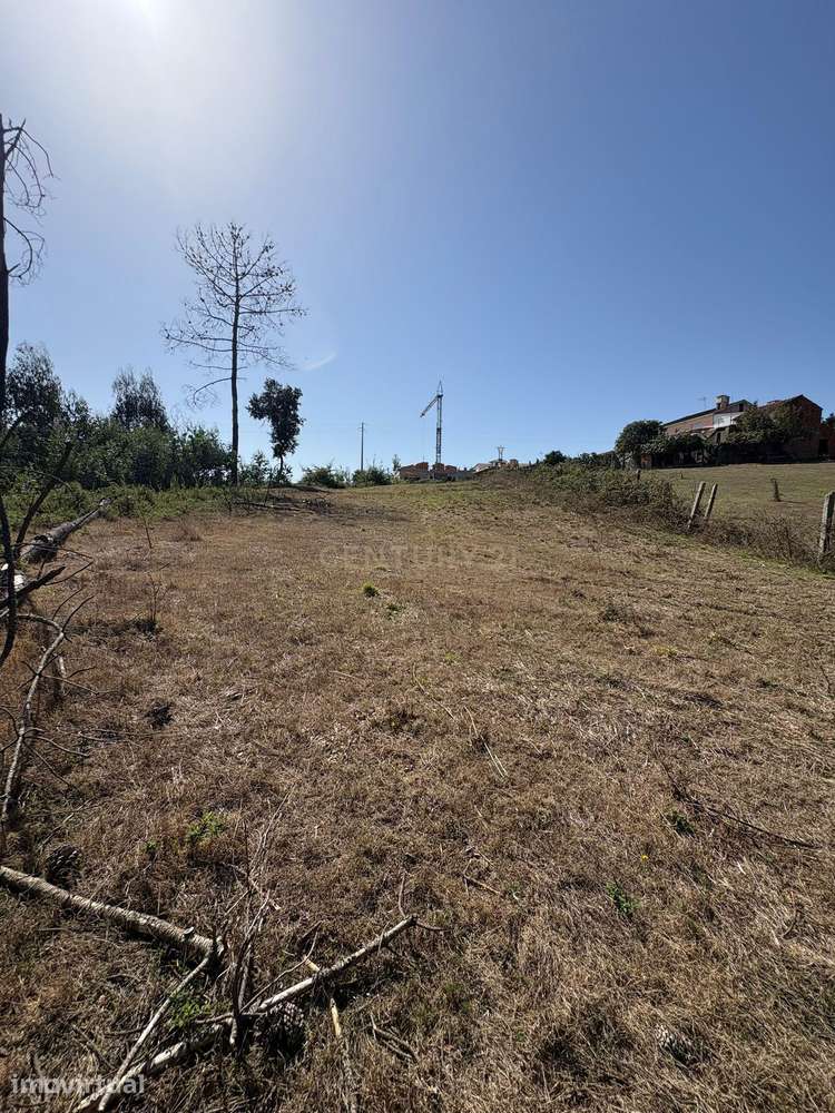 Terreno Urbano em Angeja, Albergaria a Velha - Grande imagem: 2/14