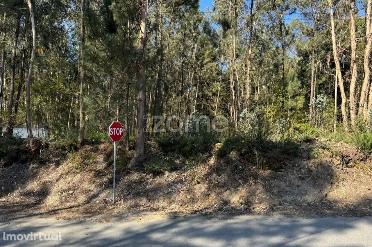 Terreno Urbano em Jesufrei , Vila Nova de Famalicão - Grande imagem: 3/19