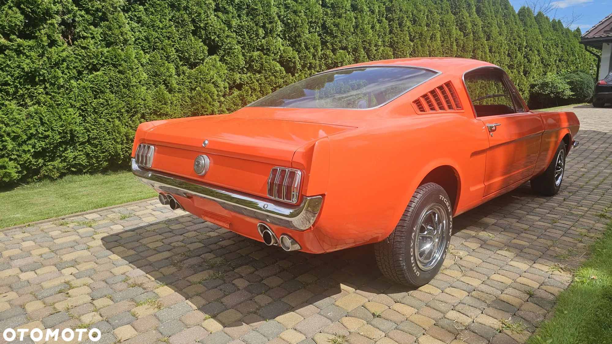 Ford Mustang - 7