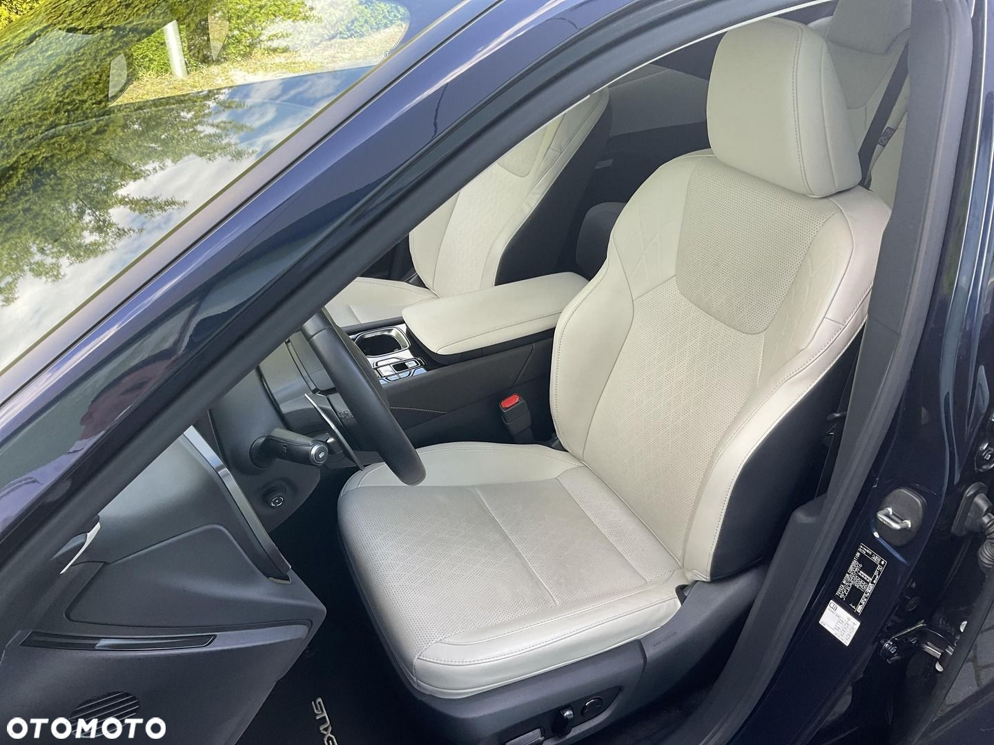 Lexus RX - 13