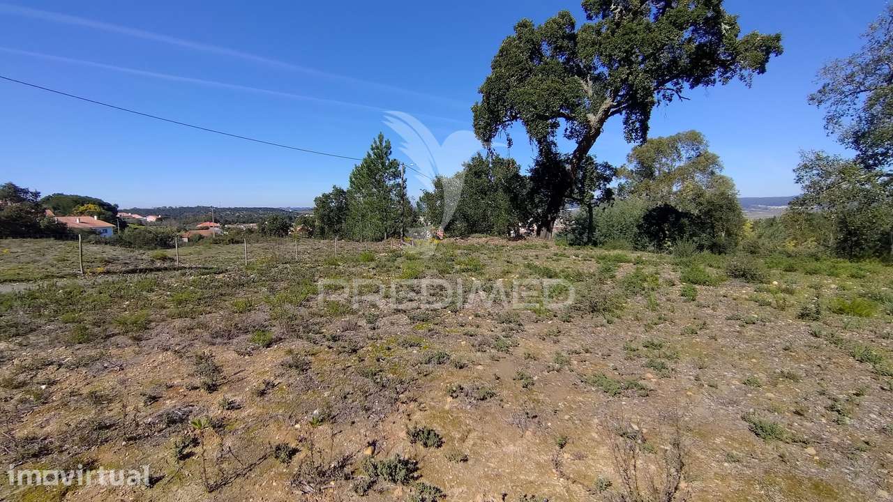 Terreno Rústico 1640 m2 - Grande imagem: 3/23
