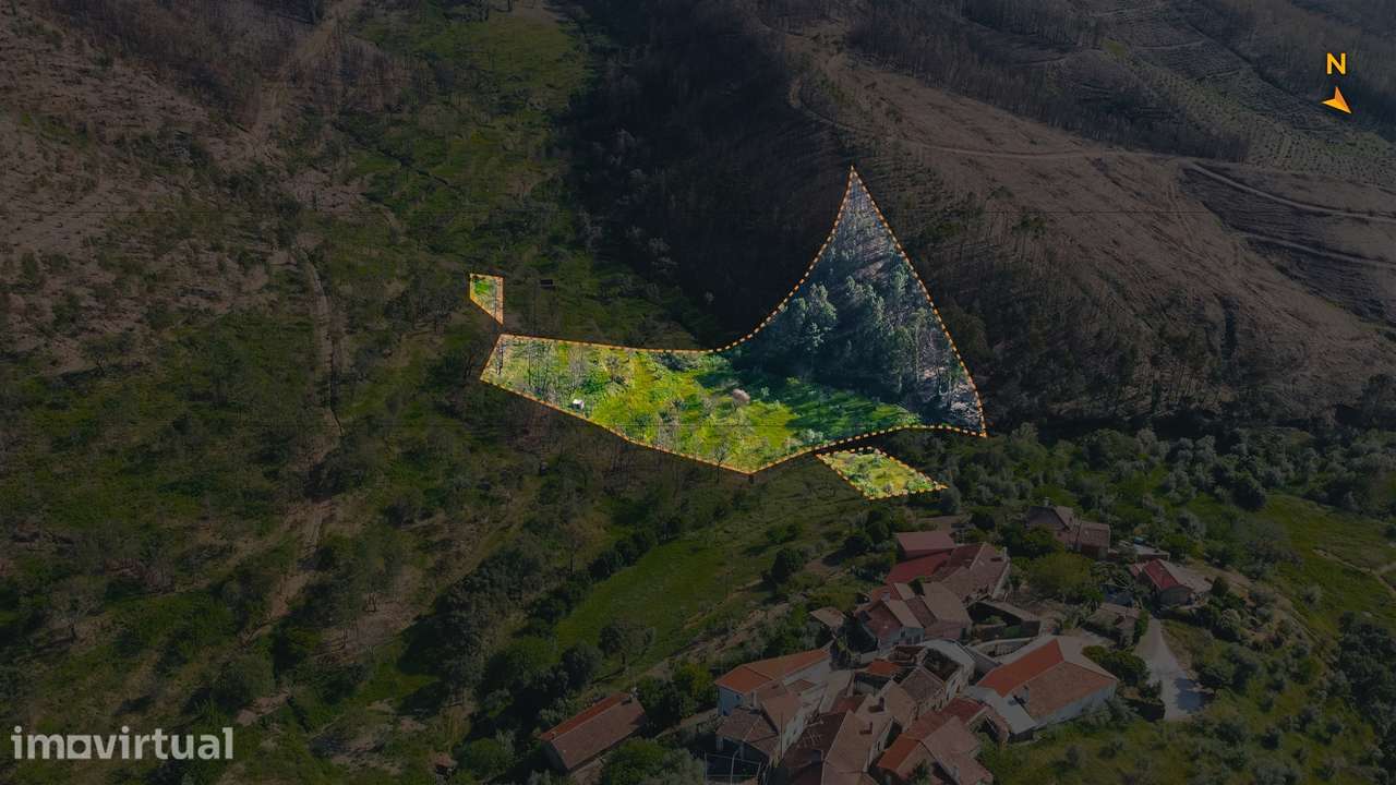 Terreno Rústico  Venda em São Vicente da Beira,Castelo Branco - Grande imagem: 3/25