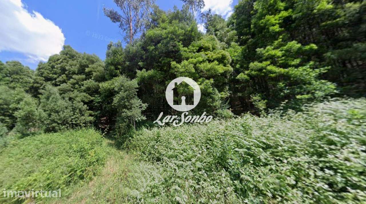 Terreno com 8.000m2 em Santo Tirso - Grande imagem: 5/6