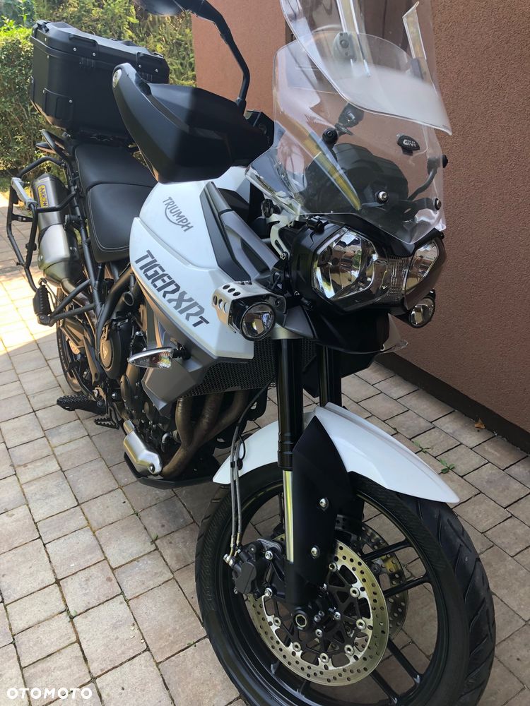 Triumph Tiger - 6
