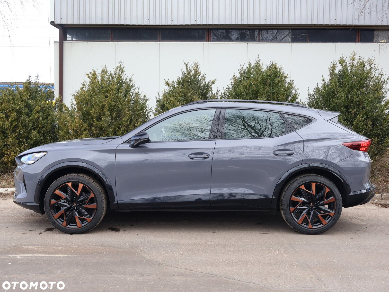 Cupra Formentor 1.5 eTSI mHEV DSG - 6