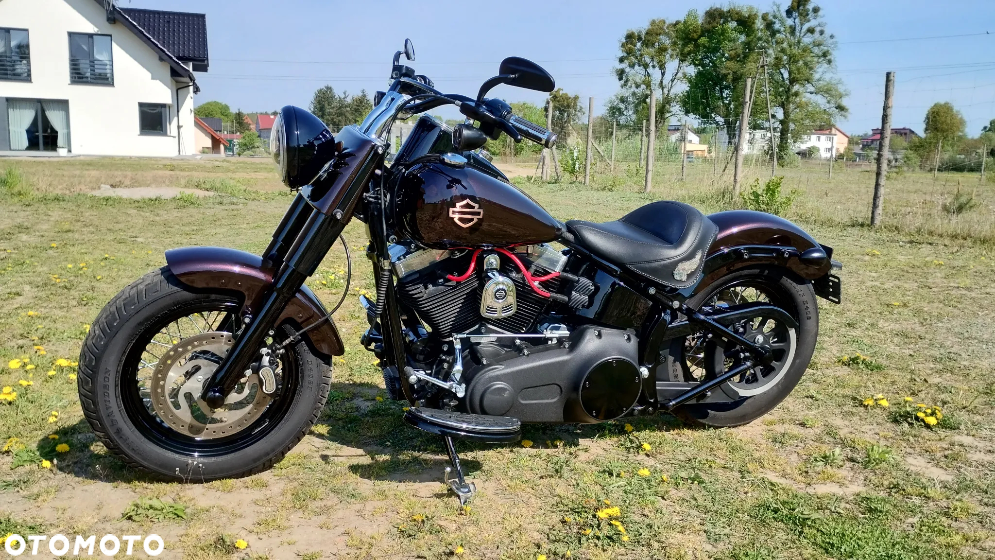 Harley-Davidson Softail Slim - 10