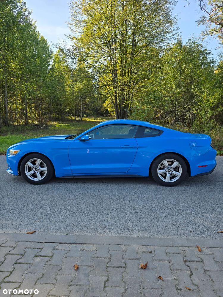 Ford Mustang - 5