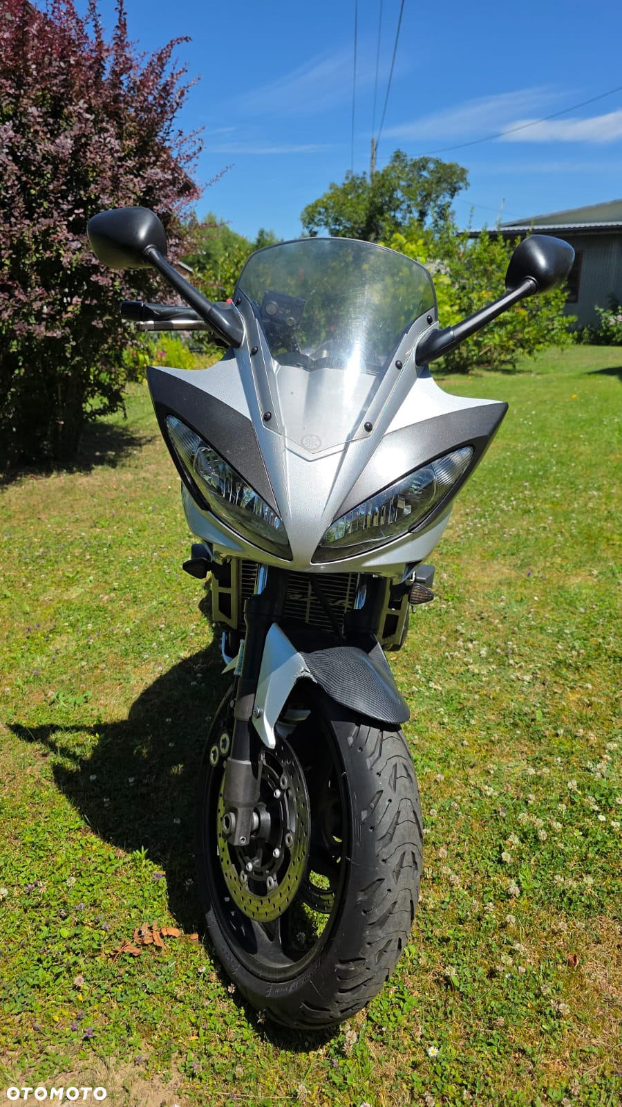 Yamaha FZ6 - 7