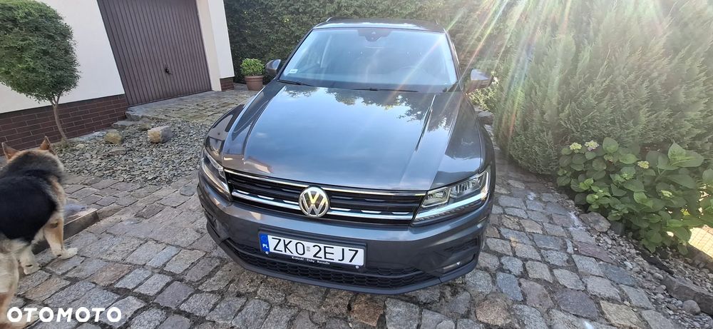 Volkswagen Tiguan - 15