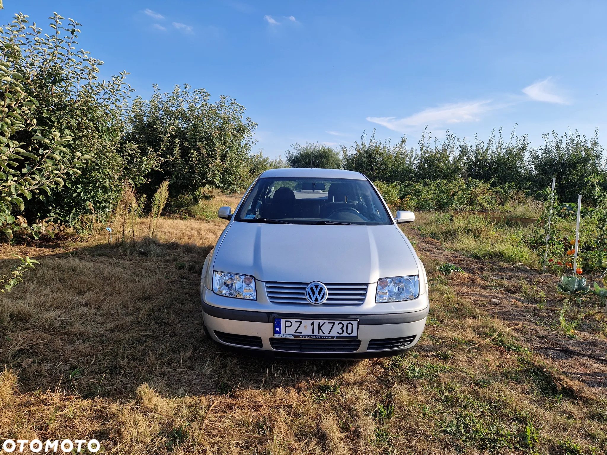 Volkswagen Bora - 2