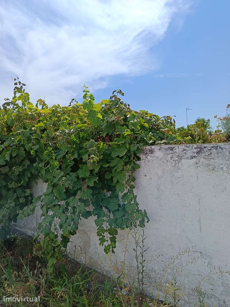 Moradia T4 com Jardim e Garagem em Vila Ruiva - Grande imagem: 4/4