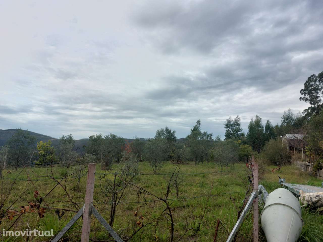 Pavilhão Industrial – Sever do Vouga - Grande imagem: 5/27