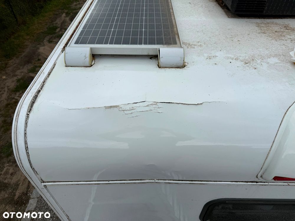 Renault Ahorn Camo 595 2024r - 7