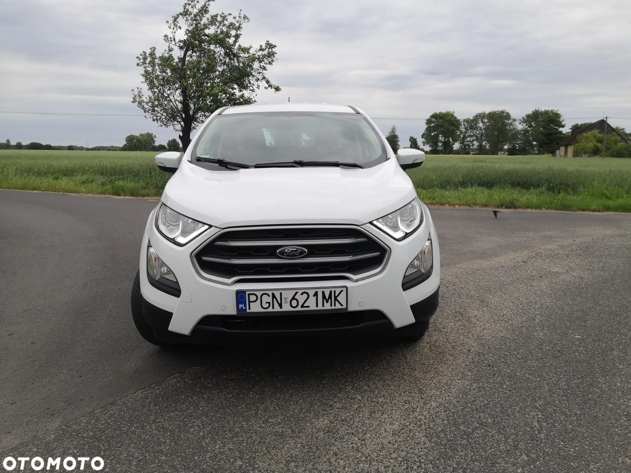 Ford EcoSport - 1