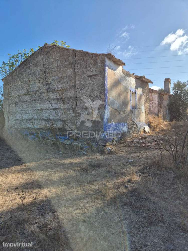 Herdade 78,5 ha com Cortiça, Eucaliptos e Ruínas | São Luís, Odemira - Grande imagem: 5/10