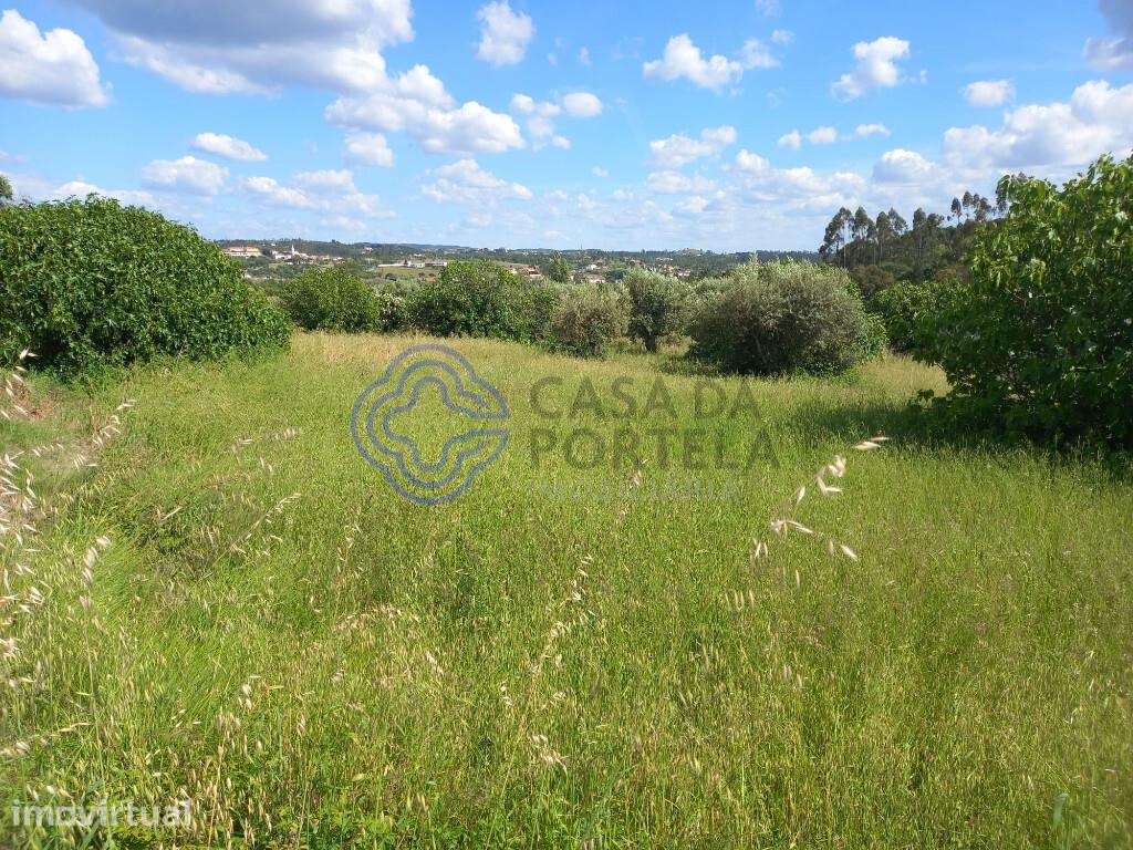 Terreno com projeto próximo de Tomar no Centro de Portugal - Grande imagem: 3/26